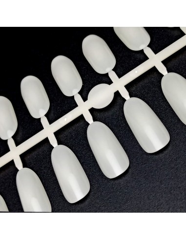 PALETAR TIPSURI OVAL NATUR 240 POZIŢII