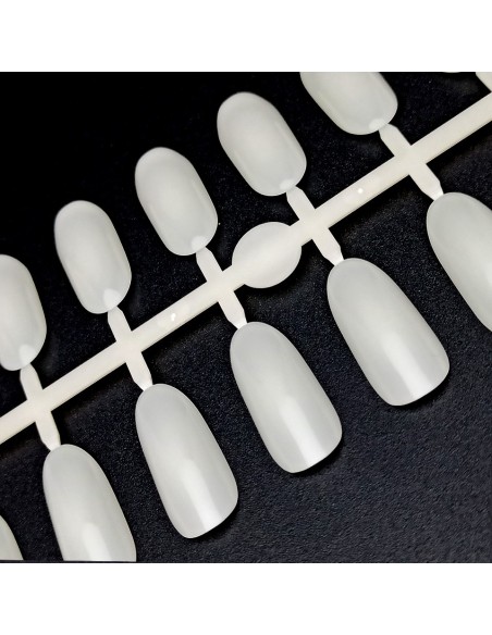 PALETAR TIPSURI OVAL NATUR 240 POZIŢII