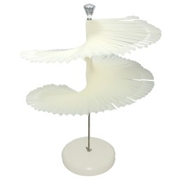 MOSTRAR SPIRALĂ NATUR PENTRU 120 CULORI