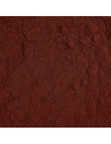 Pigment Pudră Brown P08