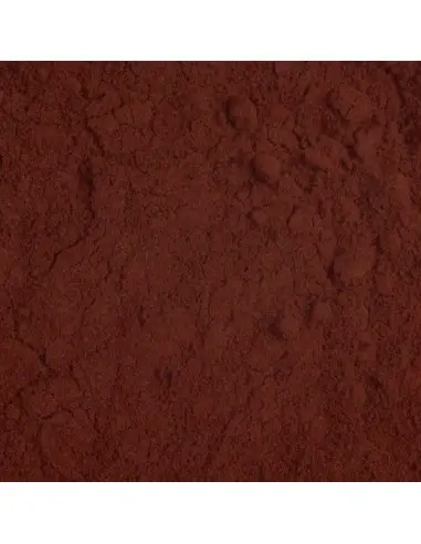 Pigment Pudră Brown P08