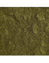 Pigment Sidefat Olive S14