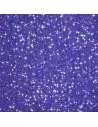 SCLIPICI VIOLET