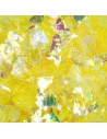 SCLIPICI  ICE YELLOW