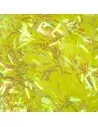 SCLIPICI  FIRE GALBEN NEON