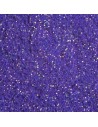 SCLIPICI FIN VIOLET S21