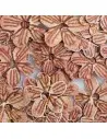 PAIETE 07 - FLORICELE