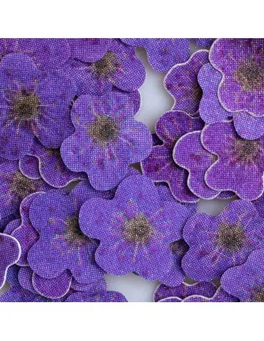 PAIETE 47 - FLORICELE