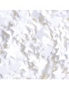 PAIETE STELUȚE WHITE