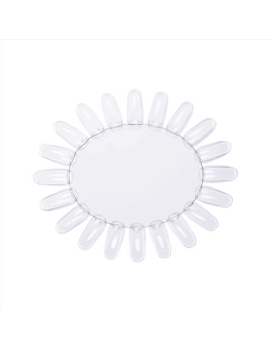 MARGARETĂ TRANSPARENTĂ