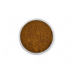 Pigment Pudră Olive P06 2