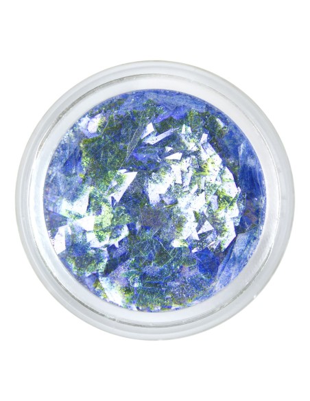 FULGI HOLOGRAFICI FH-08