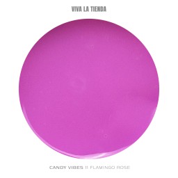 VIVA LA TIENDA POLYGEL Candy Vibes 11 - Flamingo Rose - 15ml 2