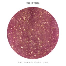 VIVA LA TIENDA POLYGEL Soft Shine 12 - Spiced Terra - 15ml 2
