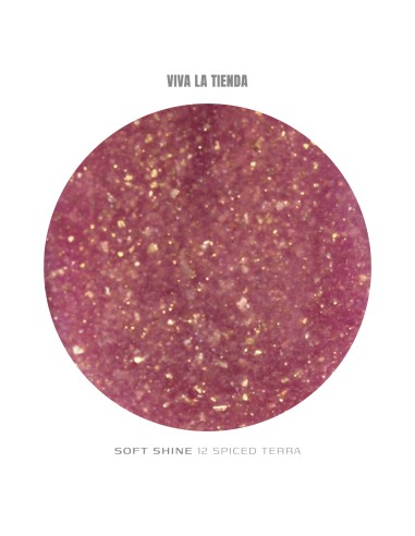 VIVA LA TIENDA POLYGEL Soft Shine 12 - Spiced...