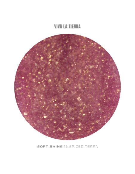 VIVA LA TIENDA POLYGEL Soft Shine 12 - Spiced Terra - 30ml