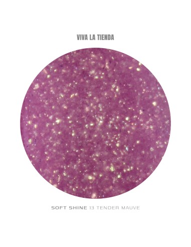 VIVA LA TIENDA POLYGEL Soft Shine 13 - Tender...