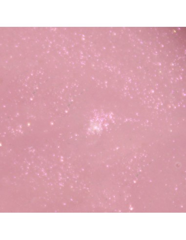 VIVA LA TIENDA BUILDER GEL SHIMMER 01 - 30ml