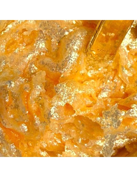 Gelaxyo Crushed Gems Honey - 5ml ARIANA HASHEMI