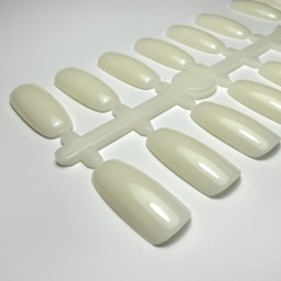 SET 120 TIPSURI DE PREZENTARE OVAL NATUR PENTRU CATALOG