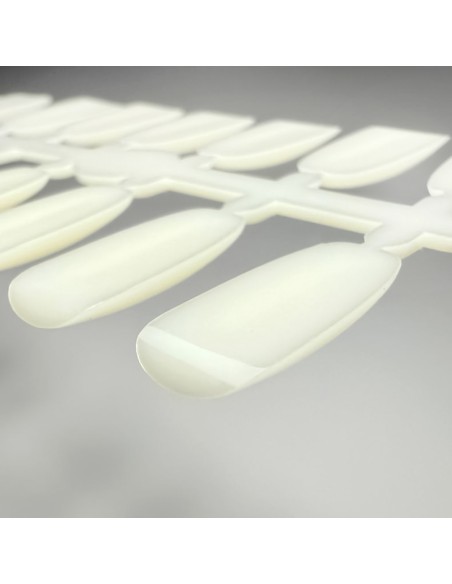 SET 120 TIPSURI DE PREZENTARE OVAL NATUR PENTRU CATALOG