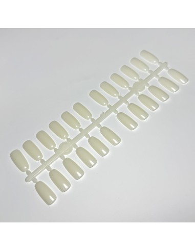 SET 120 TIPSURI DE PREZENTARE OVAL NATUR PENTRU...