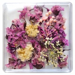 FLORI NATURALE USCATE - VIOLET si ALBE