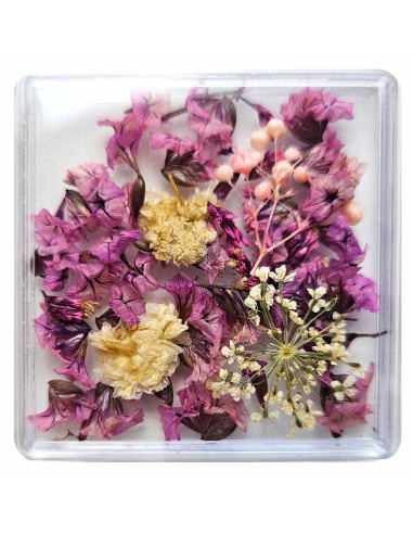 FLORI NATURALE USCATE - VIOLET si ALBE