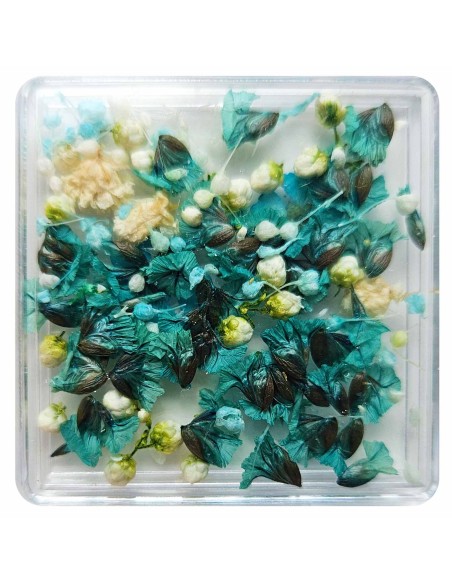 FLORI NATURALE USCATE - TURCOAZ si ALBE