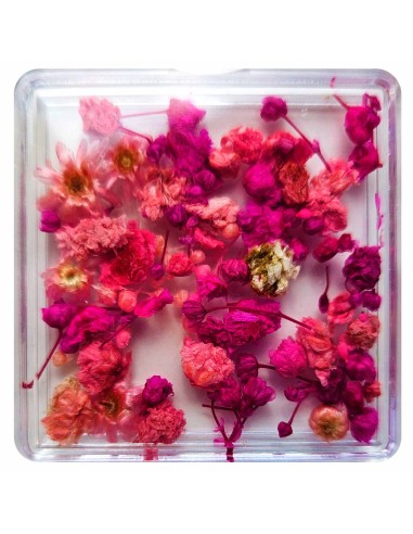 FLORI NATURALE USCATE - ROZ si FUCHSIA