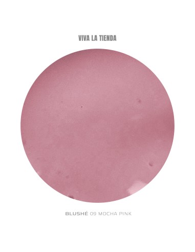 VIVA LA TIENDA POLYGEL BLUSHÉ 09 - Mocha Pink -...