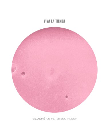 VIVA LA TIENDA POLYGEL BLUSHÉ 05 - Flamingo...