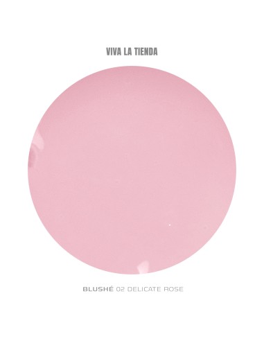 VIVA LA TIENDA POLYGEL BLUSHÉ 02 - Delicate...