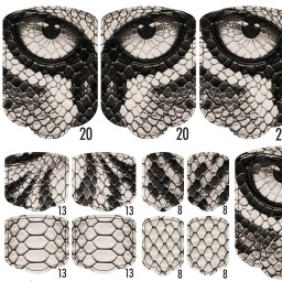 PEDI WRAPS ANIMAL COUTURE AC-10 GELAXYO