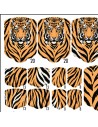 PEDI WRAPS ANIMAL COUTURE AC-12 GELAXYO