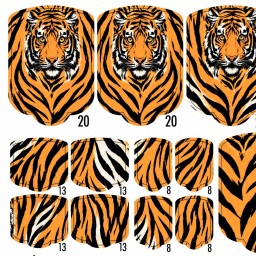 PEDI WRAPS ANIMAL COUTURE AC-12 GELAXYO