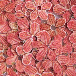 PAIETE 11 - FLORICELE
