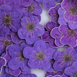 PAIETE 47 - FLORICELE