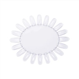 MARGARETĂ TRANSPARENTĂ